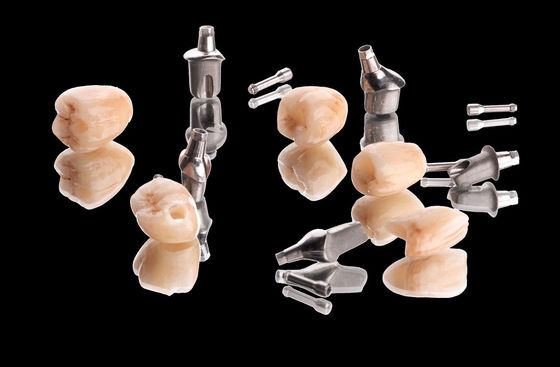 kupować Metalowy Implant Korona Most Naturalny Zirkonia Korona z pełnym konturem z titaniowym podłożem online manufacture
